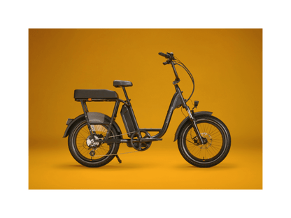 RadRunner™ Plus Electric Cargo Utility Bike