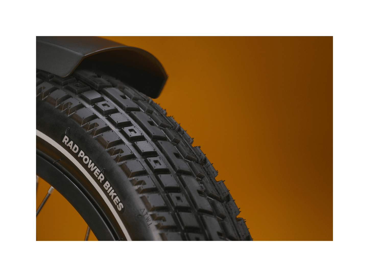 RadRunner™ Plus Electric Cargo Utility Bike
