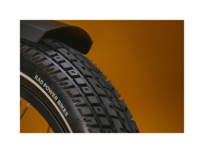 RadRunner™ Plus Electric Cargo Utility Bike