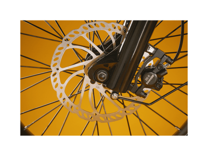 RadRunner™ Plus Electric Cargo Utility Bike
