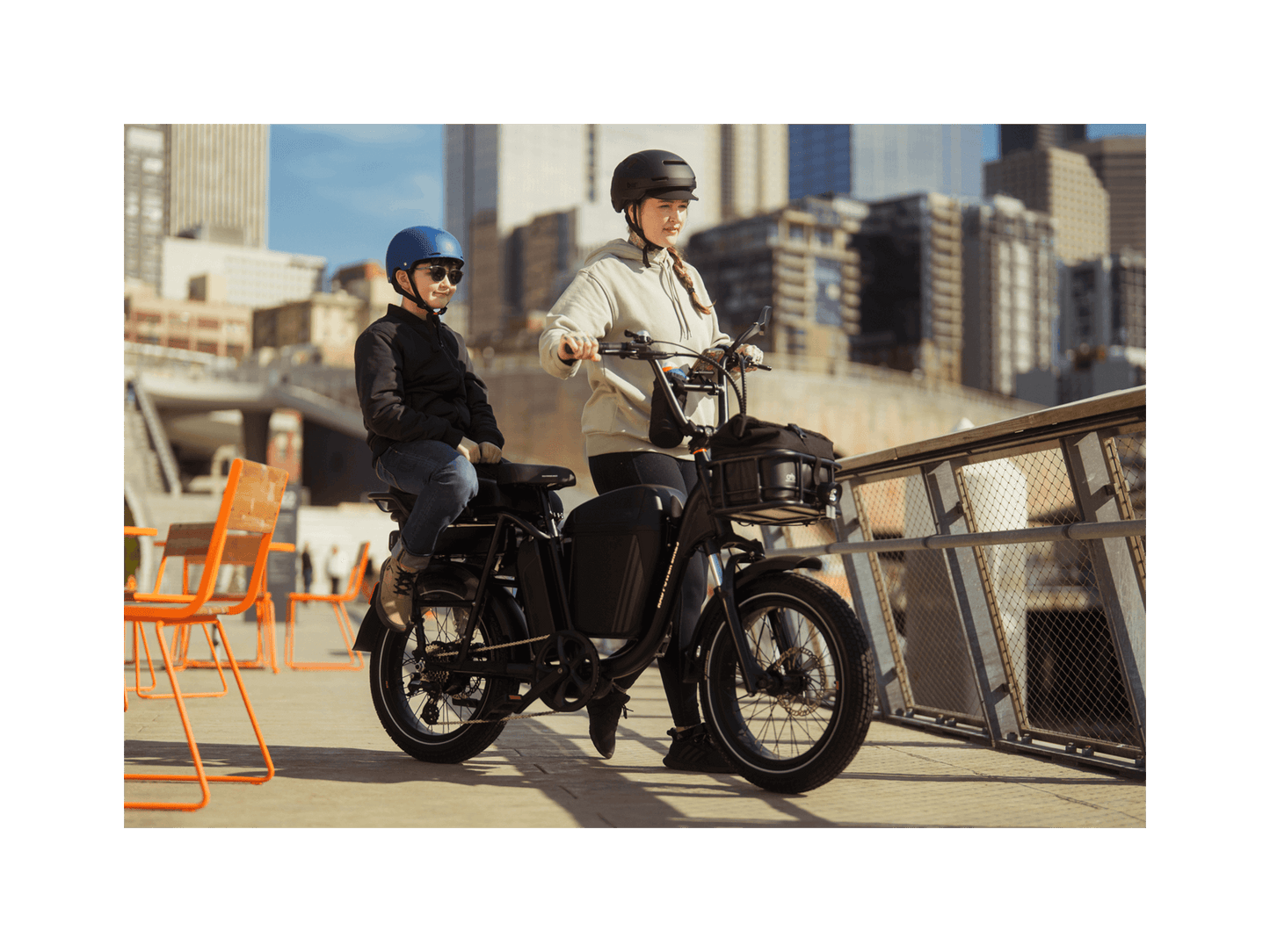RadRunner™ Plus Electric Cargo Utility Bike
