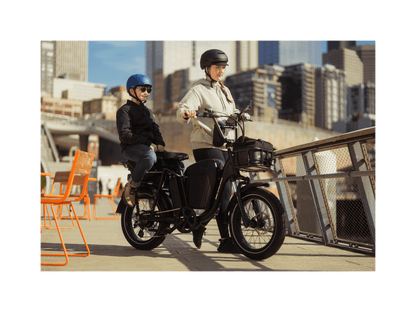 RadRunner™ Plus Electric Cargo Utility Bike