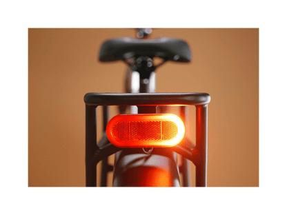 Radster™ Trail Electric Off-Road Bike