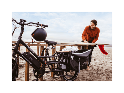 RadWagon™ 4 Electric Cargo Bike