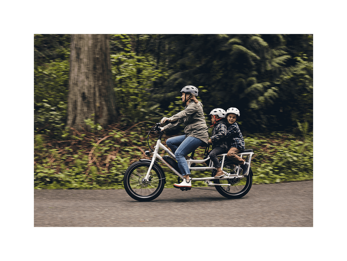 RadWagon™ 4 Electric Cargo Bike