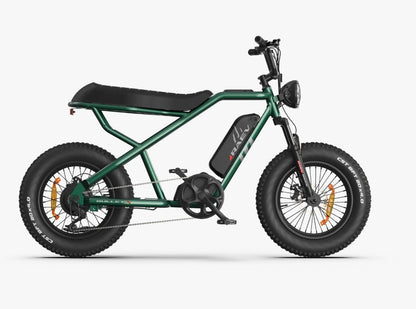 RAEV Bullet X Emoto eBike – 750W Electric Bike