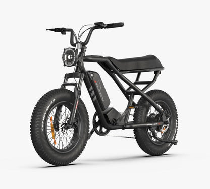 RAEV Bullet X Emoto eBike – 750W Electric Bike