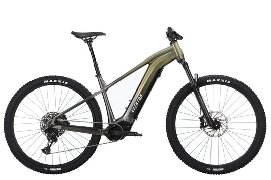 Ramblas Ebike