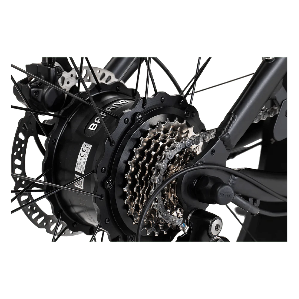 REVI Cheetah PLUS 750w Step Over Ebike 26x4 Fat Tire Electric Vintage eBike
