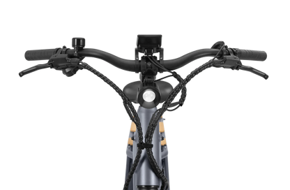 VELOTRIC Packer 1 750w Step Thru eBike 26x2.4 Urban Electric Cargo eBike